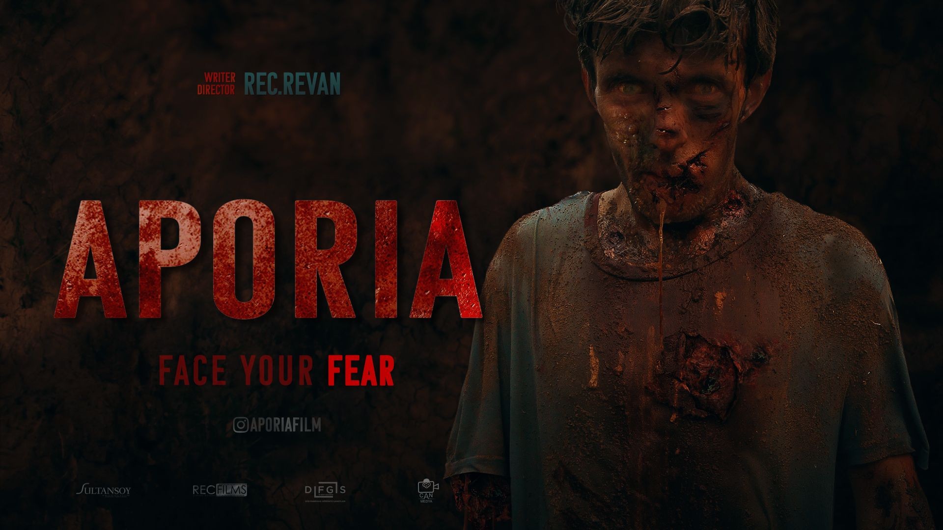 Aporia (2019) Dual Audio {Hindi-Turkish} WEB-DL  720p