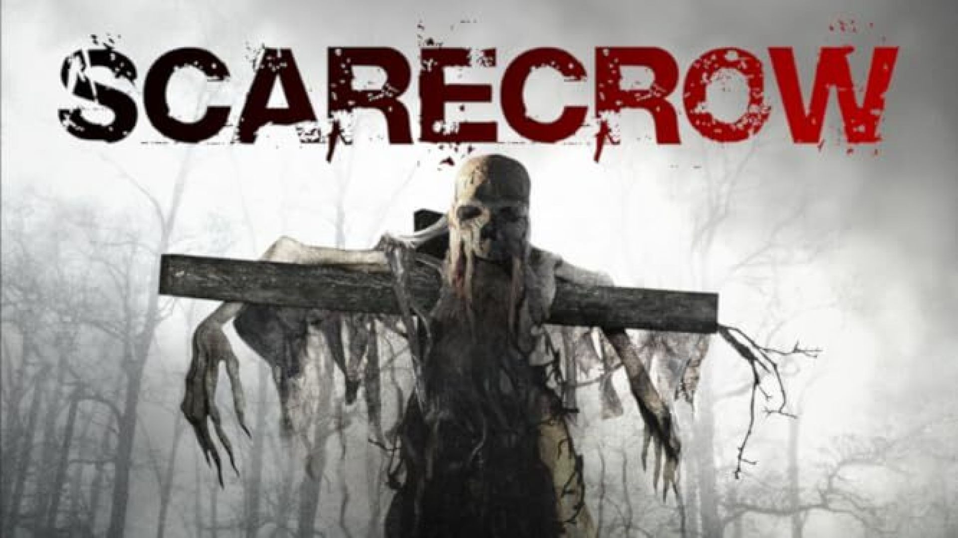 Scarecrow (2013) Dual Audio (Hindi+English) BluRay 720p