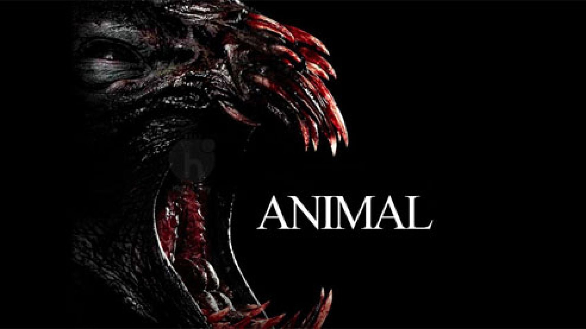 Animal (2014) English WEB-DL 480P