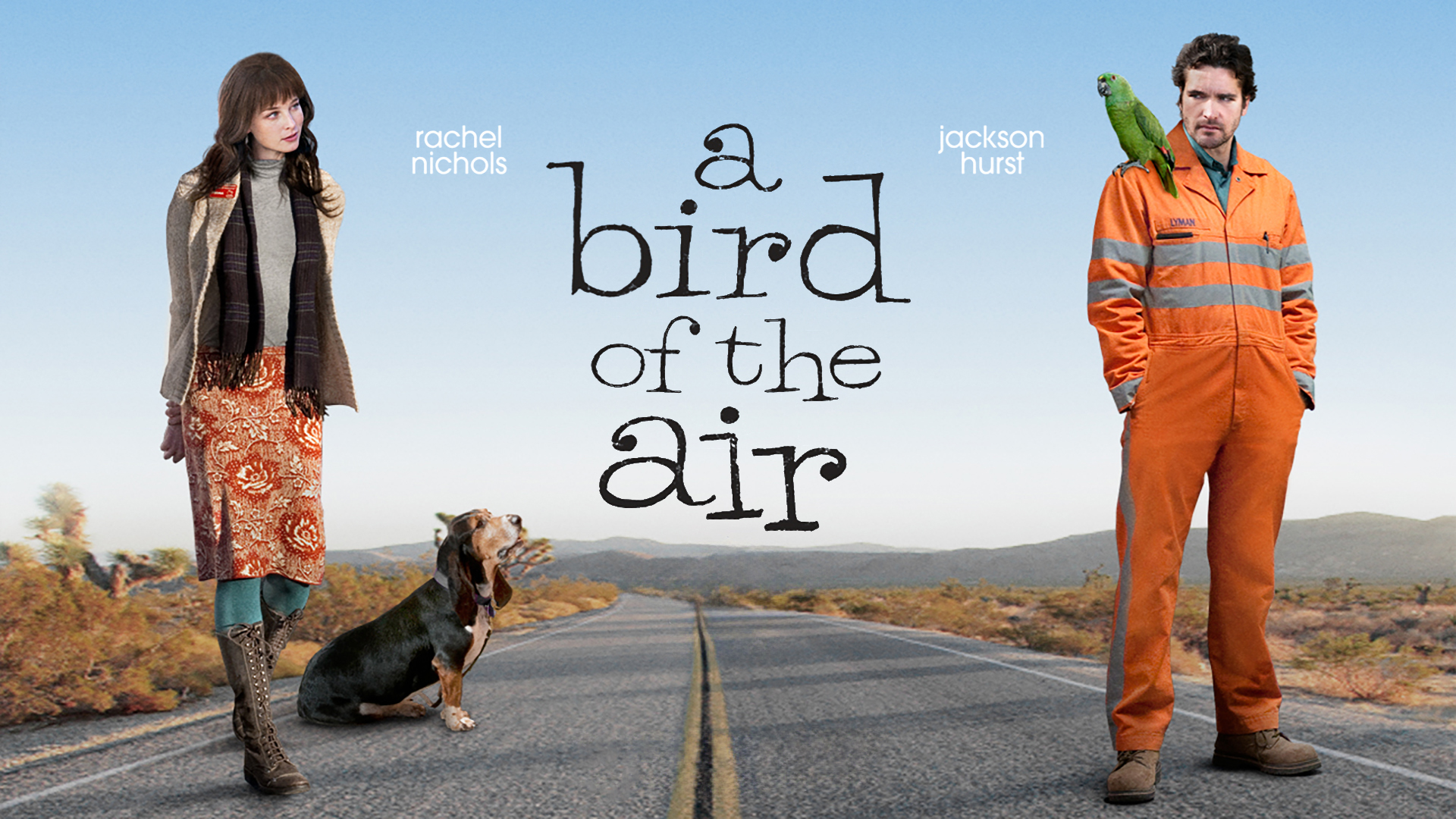 A Bird of the Air (2011) English WEB-DL 720p