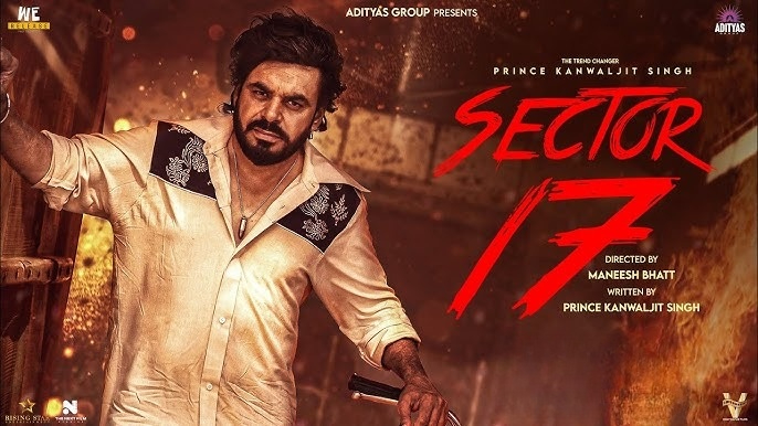 Sector 17 (2024) Punjabi CHTV WEB-DL 720P